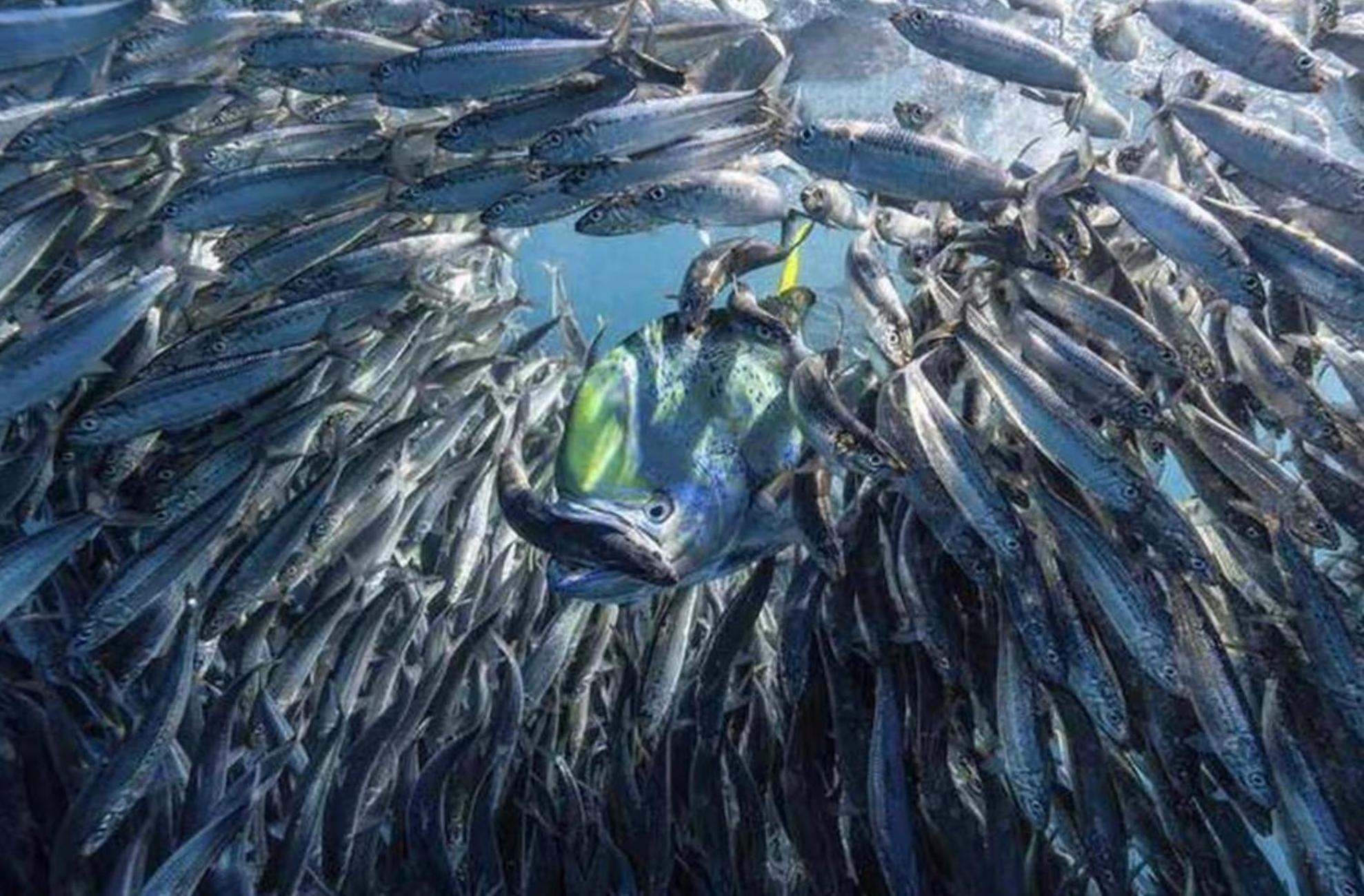 Vahaui Paradis Avatoru Exteriör bild